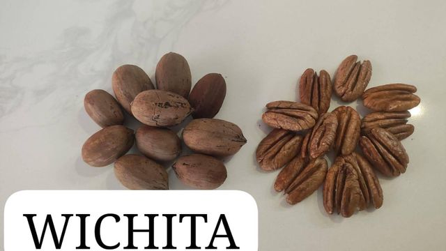 Walnuts – product photo 2, product detail gallery