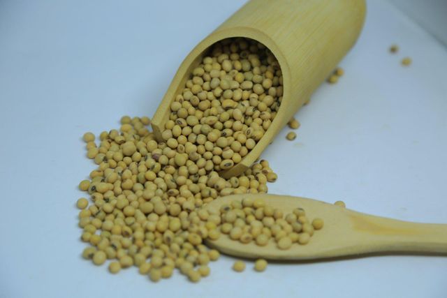 2024 Harvest Ethiopian Soya Beans - 14% Max Moisture, Grade 1 Quality, Bulk Quantity Available – product photo 5, product detail gallery