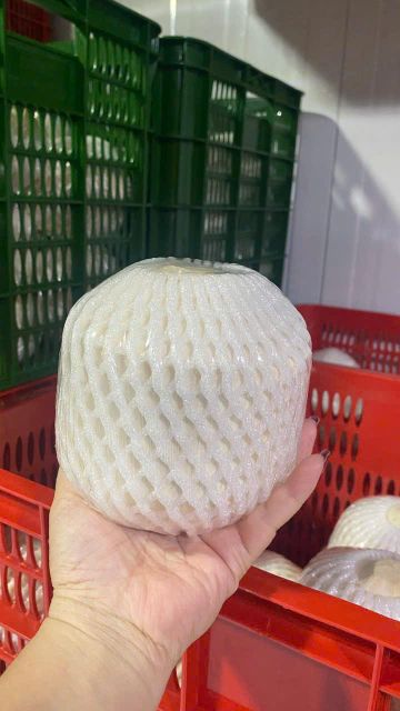 Premium Fresh Coconuts (Diamond-Cut, Easy-Open, Fully Husked) - Image 3
