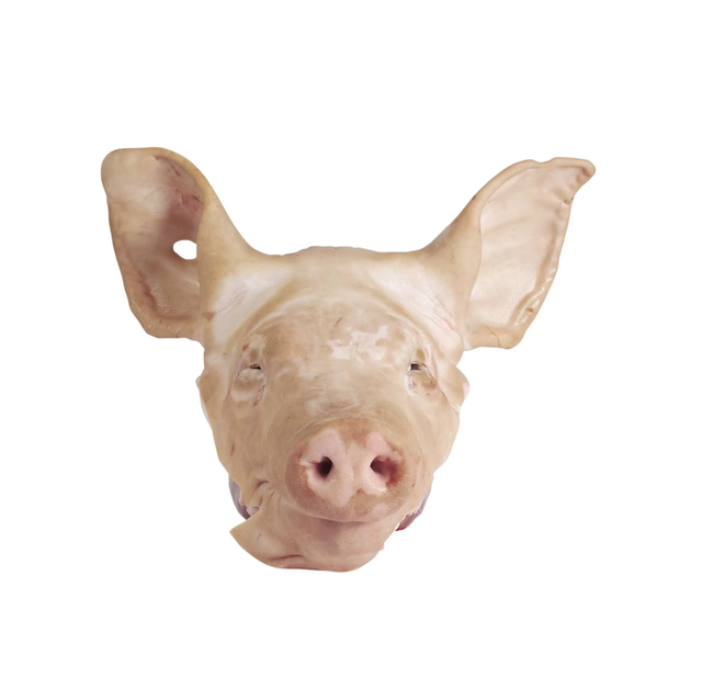 Premium Frozen Pork Head & Pork Jowls Wholesale Supplier – High Quality Pork Head Meat, Jowls, Cheeks for B2B Export Imp - Image 2