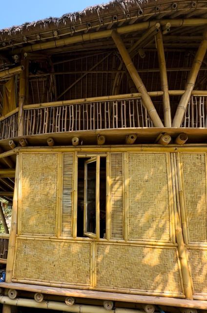 Bamboo Wall, bamboo panel, and Interior design bamboo - Image 4