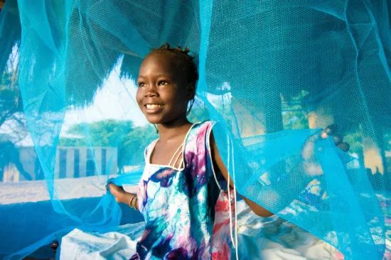 Llin Long Lasting Insecticide Treated Bed Net Mosquito Net Anti Malaria - Image 1