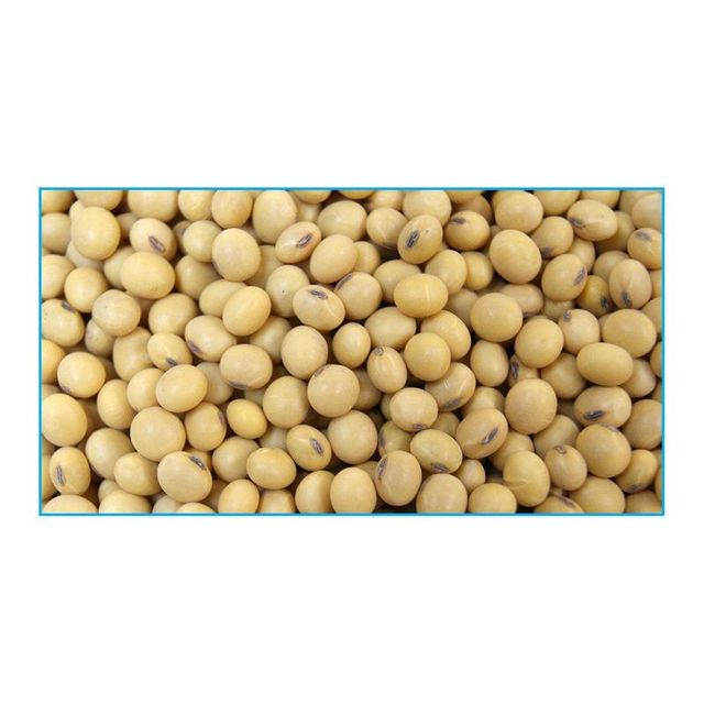 Brazilian Soybeans – product photo 4, product detail gallery