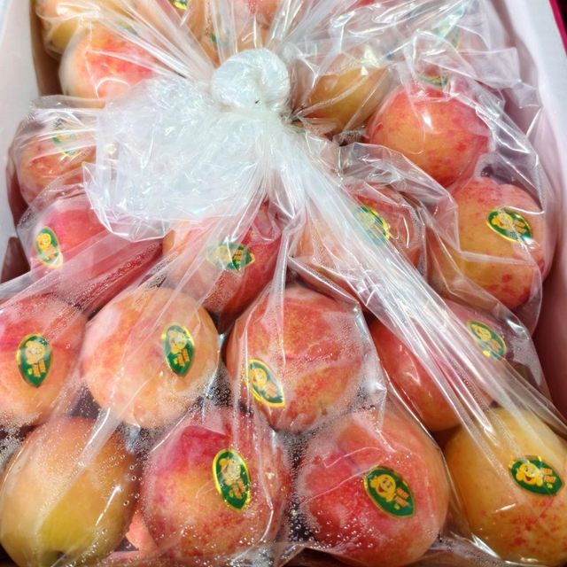 Fresh Plums Carefully Packed Fruit For Bulk Buyers Offering Outstanding Freshness Balanced Flavor And Firm Texture - Image 4