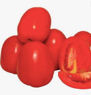 Wholesale Supplier of Fresh Tomato / Cheap Fresh Tomato. Fresh Tomato For Sale. Free Shipping Worldwide - Image 3