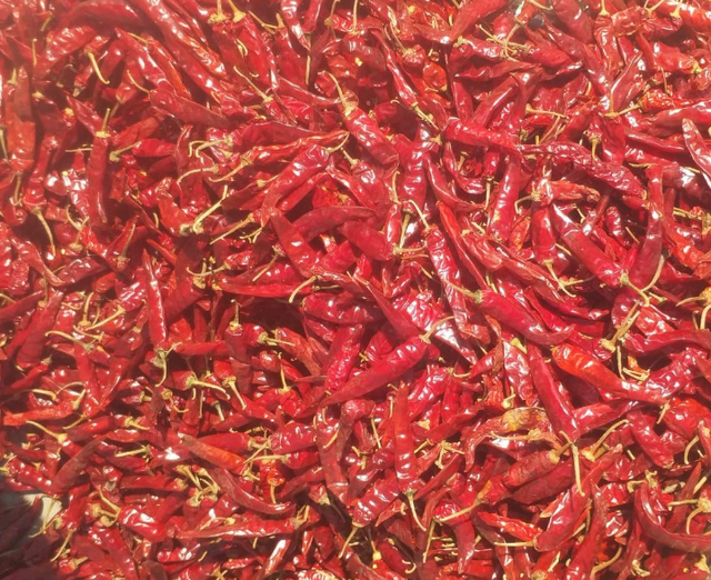 Coriander, cumin, byadgi red chilli ( Please DM WhatsApp : ) for actual price and product specification - Image 1