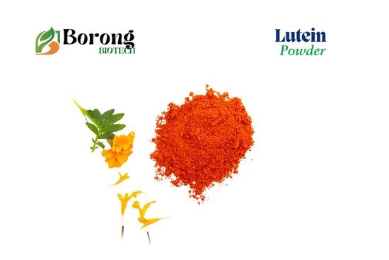 Tagetes Erecta Marigold Lutein Powder for Eye Health - Image 2