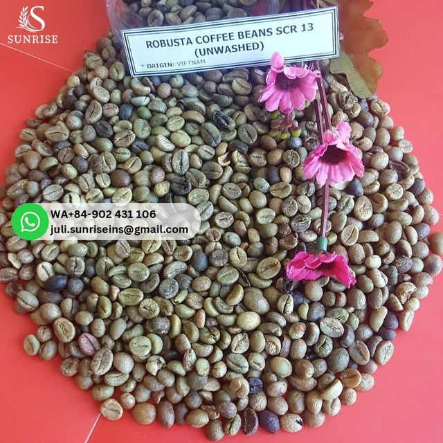 Vietnam Robusta Green Coffee Bean for Export - WA84-902431106 Juli – product photo 4, product detail gallery