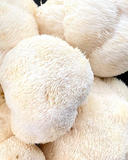 BEST FRESH LION'S MANE MUSHROOMS, Fresh Unique Appearance Lion's Mane Mushroom - Image 3
