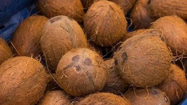 Palm oil and coconut - Image 1
