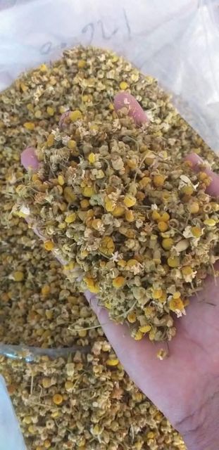 chamomile flower - Image 1