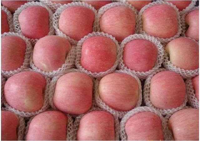 Premium Fuji Apples 65#-80# SGS Certified - Image 1