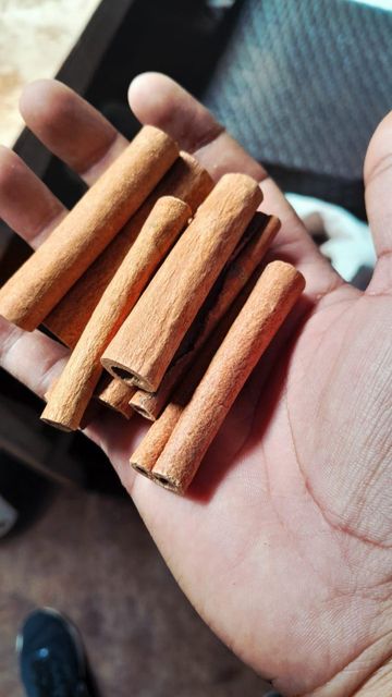 Cinnamon - Image 4