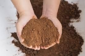Rapeseed Meal and Canola Meal Oil Content 1.5% Shelf Life 2 years Moisture Content 10% Fat Content 1.5% Max Crude fiber - Image 4