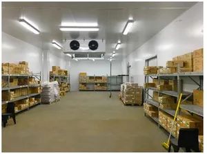 Refrigeration Equipment Walk in Freezer with Compressor Unit - Image 3
