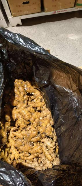 Fresh Ginger（Chinese origin), 150g & up, Export standard,10kg/Carton o。"Bright yellow, 100% fresh" o . - Image 4
