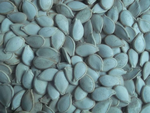 PUMPKIN SEED Purity ≥ 99% Origin Ethiopia Moisture Content ≤ 8% Type Shelled & Cleaned Size Medium To Large, Uniform - Image 1
