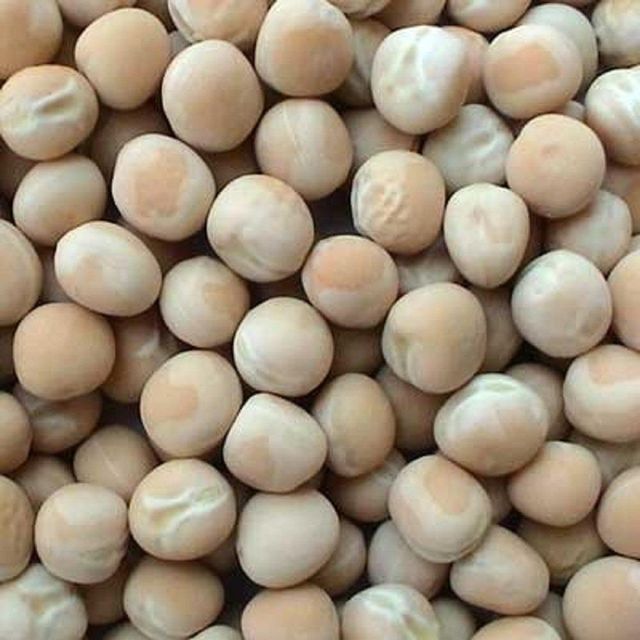 Organic White Peas Carefully Selected Clean Beans Fresh Whole Beans For Wholesale Supply - Image 1