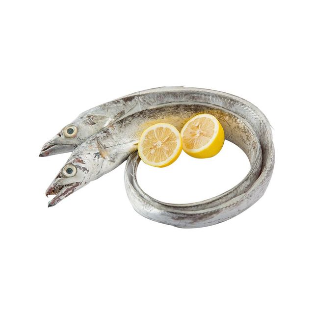 Frozen Ribbon Fish Premium Seafood Selection Offering Superior Texture And Reliable Cold Chain Delivery Support - Image 3