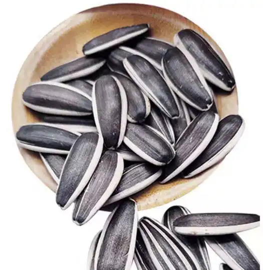 Organic Sunflower Seeds wholesale 361 363 601 T5 T6 2099