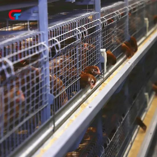 Chicken Feeding Factory Making Automatic Battery New Design Poultry Cages Manufacturers - Image 3