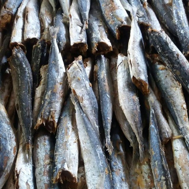 Dried fish / Dried steamed round scad - Image 1
