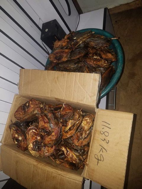 Dried Catfish Origin Nigeria Package Weight 500 Grm, 500grm Quality Grade USDA Choice, Usda Choice - Image 3