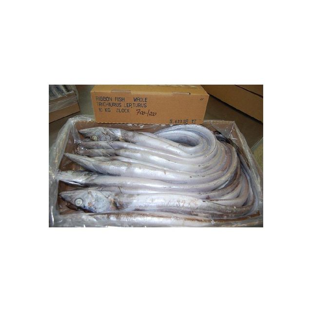 Frozen Ribbon fish bulk supply wholesale premium quality seafood - Image 3