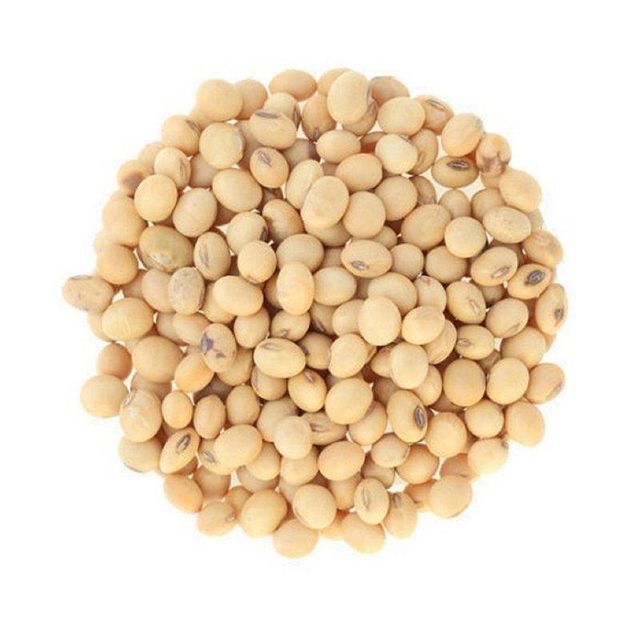 soybeans available at wholesale price for food distributors and global exporters - Image 1