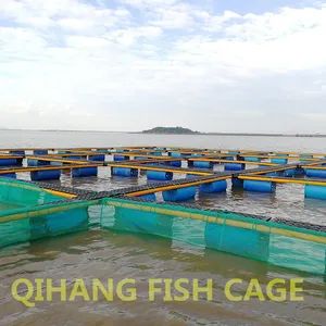 Carp Fish Farming, Catfish Farming Equipment for Sale - Image 2
