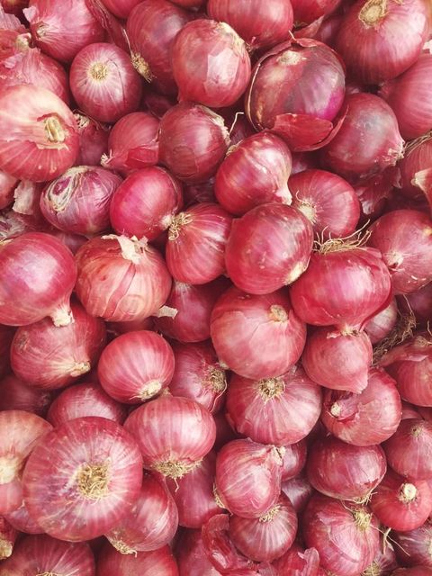 premium export quality fresh onions - Image 4