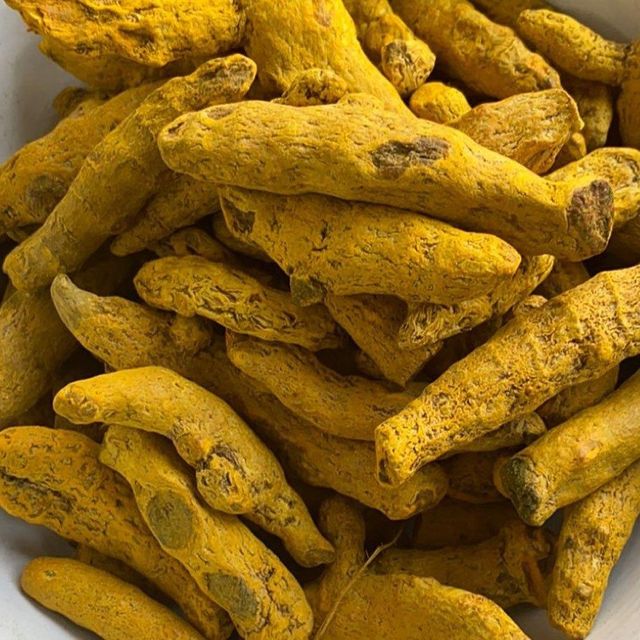 Fresh Turmeric Available Turmeric For Wholesale Orders Direct From Trusted Supplier - Image 3