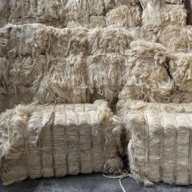 Raw Sisal Fiber Gypsum Hair Bulk Natural Fiber for Spinning Filling and Non Woven Fabric For Sale - Image 5