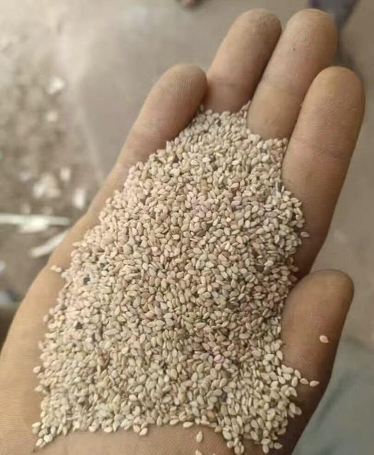 Premium Sesame Seeds Wholesale Bulk Supply Export Quality Natural Hulled and Roasted Sesame Seeds - Image 4