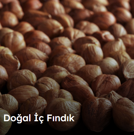 Natural Hazelnut Kernel - Image 1