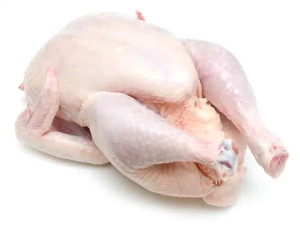 Wholesale Fresh Chicken Frozen Chicken paws For Good Price - Image 6