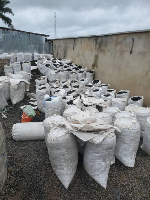 Palm kernel shell - Image 2