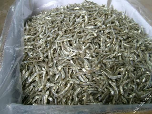 High Quality Dried Small Fish (Tiny Anchovy) From Thailand Wholesaler Manufacturers Seafood Dried Anchovy Fish Anchovies - Image 3