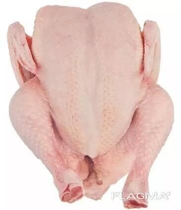 Chicken Breast For Sale Superior quality whole frozen halal chicken - Image 4