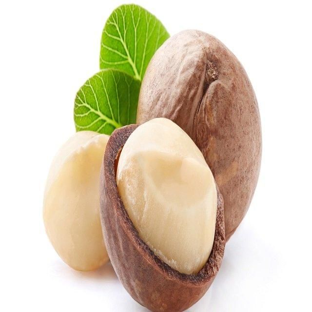 Export Macadamia Nuts Premium Grade Whole Kernels Clean Fresh High Nutrition Suitable For International Buyers Chocolate And Bakery Industry Buy Now Fast Delivery Premium Quality Wholesale – product photo 3, product detail gallery