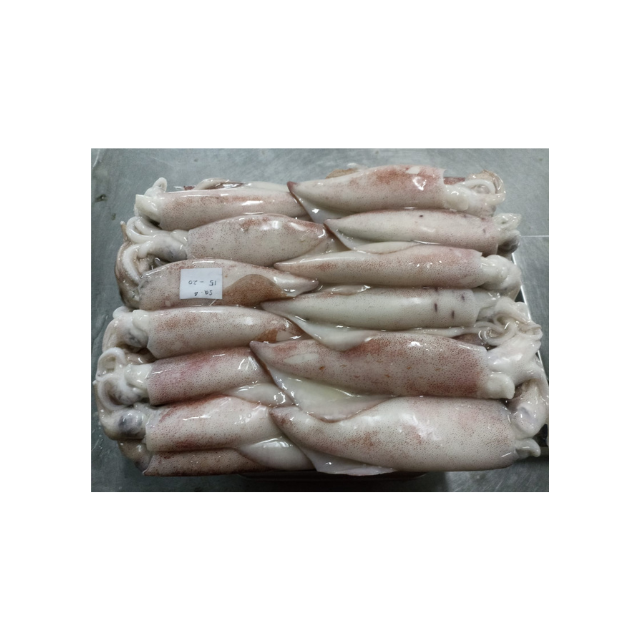 Frozen Calamari Export Quality Seafood Prepared For Bulk Buyer Demand With Natural Taste And Uniform Processing Standards - Image 2