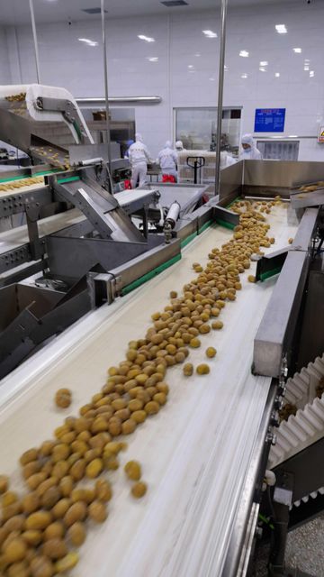 OEM Ready to Eat Chestnuts for Private Label Brands - Image 4