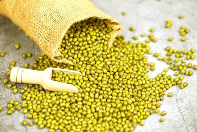 MUNG BEAN 10-25Kg Per Box Star Laboratories Brand 1 Year Shelf Life - Image 5