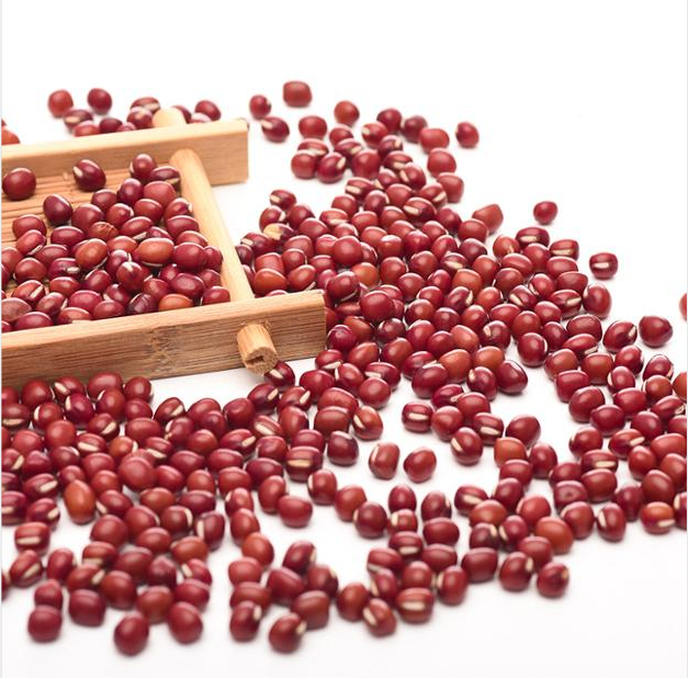 Cheap Red Cowpea Bean Red Vigna Bean Export Grade Small Red Adzuki Beans - Image 6