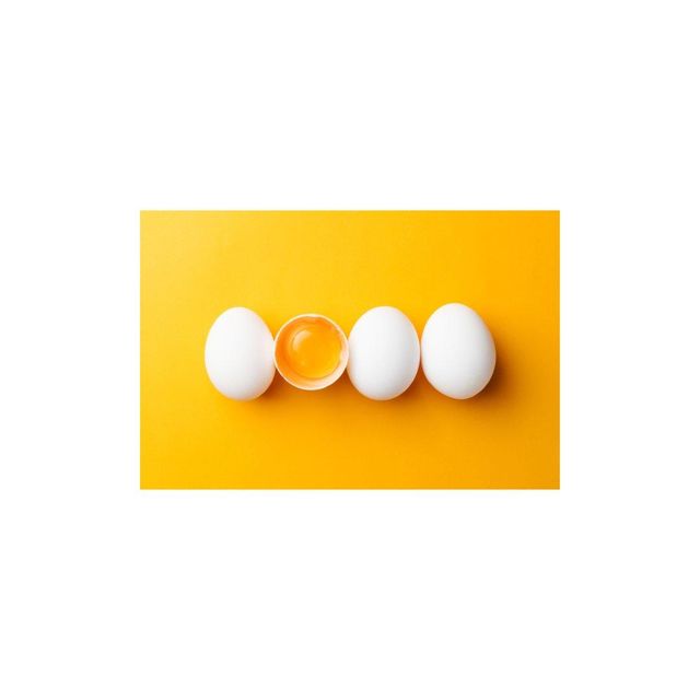 Bulk Egg Albumen Powder and Yolk Powder Manufacturer – Pure Spray Dried Egg White and Egg Yolk Powder for Bakery Bulk Egg Albumen Powder and Yolk Powder Manufacturer – Pure Spray Dried Egg White and Egg Yolk Powder for Bakery Bulk Egg Albumen Powder and Yolk Powder Manufacturer – Pure Spray Dried Egg White and Egg Yolk Powder for Bakery - Image 4