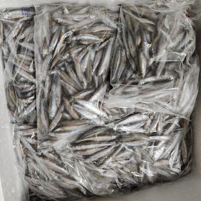 Premium frozen anchovies fresh sea fish whole fish long shelf life quick frozen suitable for export and retail supply - Image 2