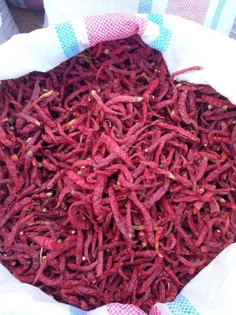Red Chili Pepper Whole - Dried Sun-Dried Chili, No Additives Color Red Delivery Form Bag, Sacks Degree of Spiciness Spicy - Image 3