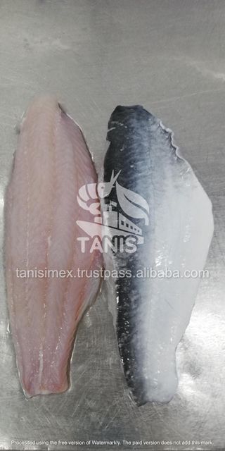 Premium Frozen Pangasius Steak for Seafood Markets - Image 4
