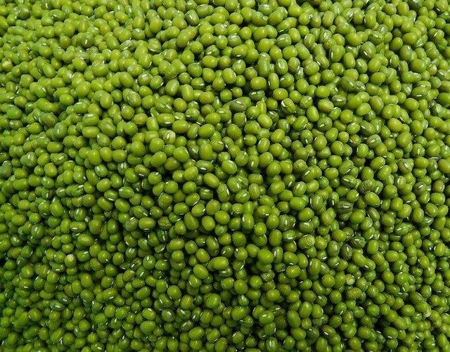 Green Mung Beans for sale, Green Moong Whole (Mung Beans) | Moong Green Gram Bulk – 4 LB Bag for Soups, Salads, Curries, Sprouting, and Cooking - Image 3