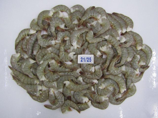 VANNAMEI RAW BLOCK SHRIMP - Image 1